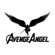 Avenge Angel - антена, підсилювач сигналу для квадрокоптерів