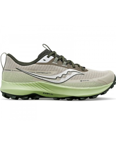 Кросівки для бігу Saucony PEREGRINE 13 GTX (S20841-30)