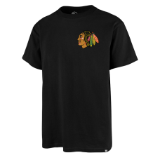 Футболка 47 Brand CHICAGO BLACKHAWKS BACKER (636667JK-FS)