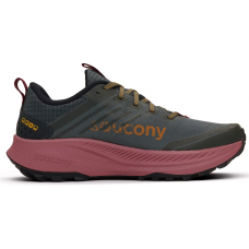 Кросівки жіночі для бігу Saucony RIDE TR2 GTX (S10953-251)