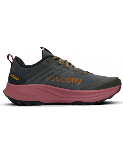 Кросівки жіночі для бігу Saucony RIDE TR2 GTX (S10953-251)