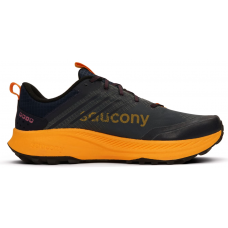 Кросівки чоловічі для бігу Saucony RIDE TR2 GTX (S20953-251)