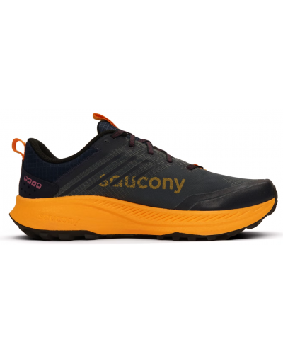 Кросівки чоловічі для бігу Saucony RIDE TR2 GTX (S20953-251)