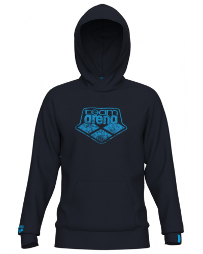 Худі Arena HOODED SWEAT LOGO (005335-710)