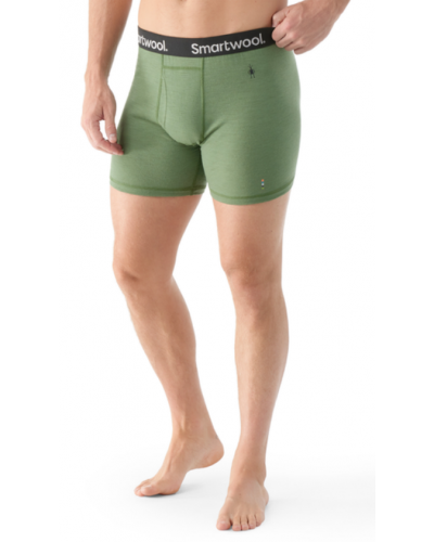 Труси чоловічі Smartwool Men's Merino Boxer Brief Boxed (Fern Green)