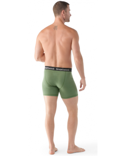 Труси чоловічі Smartwool Men's Merino Boxer Brief Boxed (Fern Green)