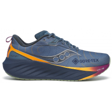 Кросівки чоловічі для бігу Saucony TRIUMPH 22 GTX (S20966-253)