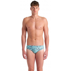 Плавки чоловічі Arena ESCAPE SWIM BRIEFS (007742-580)