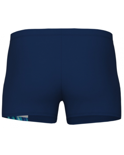 Плавки чоловічі Arena DREAMHLINE SWIM SHORT (008334-750)