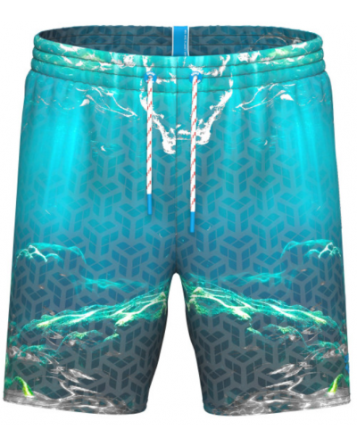 Чоловічі шорти для плавання Arena WATER PRINTS BEACH BOXER (007152-800)