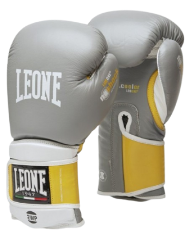 Боксерские перчатки Leone Tecnico Grey (500102)