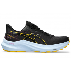 Жіночі кросівки для бігу Asics GT-2000 12 GTX (1012B507-001) чорний колір, розмір 40