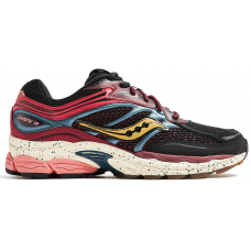 Чоловічі кросівки Saucony PROGRID OMNI 9 AUTUMNAL EQUINO (S70838-2)