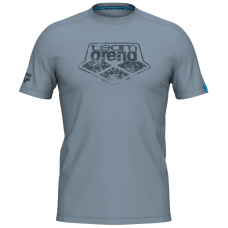 Футболка Arena T-SHIRT LOGO COTTON (005336-555)