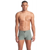 Чоловічі плавки Arena EVO SWIM SHORT (008890-600)
