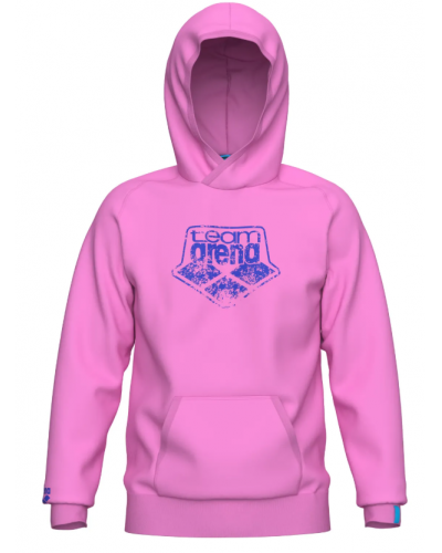 Худі Arena HOODED SWEAT ARENA LOGO (010197-900) розмір L