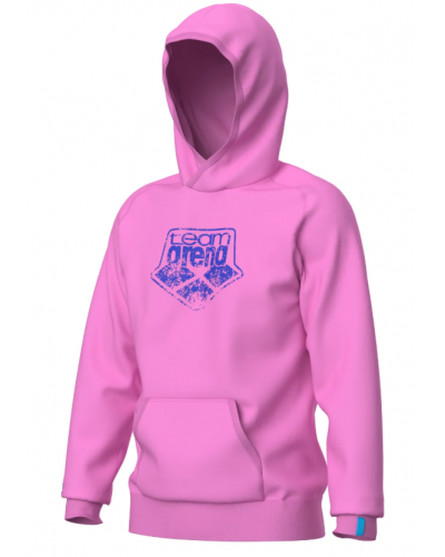Худі Arena HOODED SWEAT ARENA LOGO (010197-900) розмір L