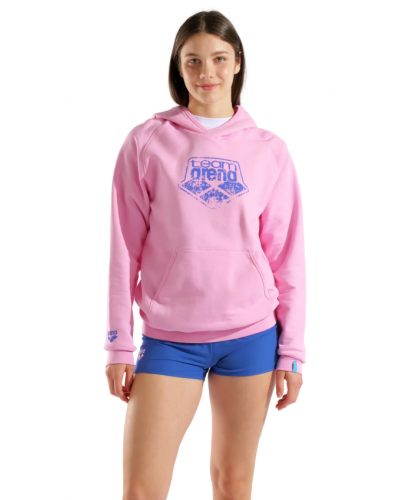 Худі Arena HOODED SWEAT ARENA LOGO (010197-900) розмір L
