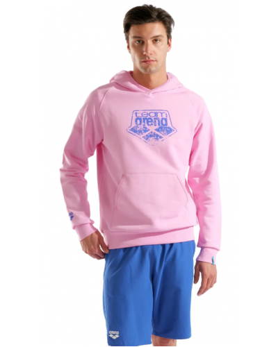 Худі Arena HOODED SWEAT ARENA LOGO (010197-900) розмір XL