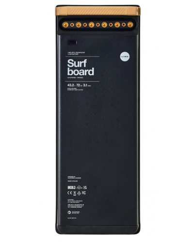 Електрична дошка для серфінгу LIND Electric Surfboard