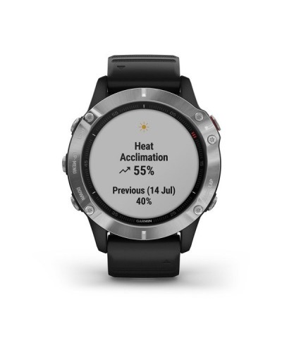 Спортивные часы Garmin Fenix 6 Silver with Black Band (010-02158-00)