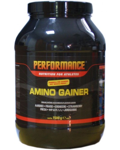 Гейнер performance amino gainer