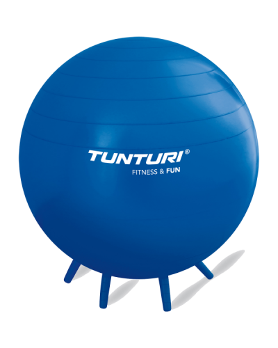 Фитбол с ручками Tunturi Sit Ball 65 cm Anti Burst, синий (антиразрыв) (14TUSFU269)