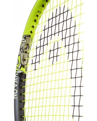 Теннисная ракетка со струнами Head Novak 21 2016 (234426)
