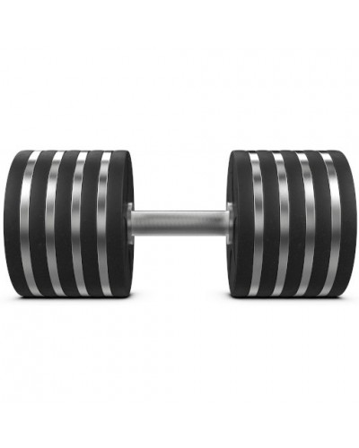 Гантель Eleiko Vulcano Disc Dumbbell Fat Grip - 50 kg (377-0500)