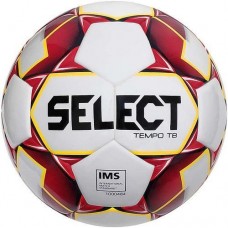 Мяч футбольный Select Tempo TB IMS (3875046061) 5