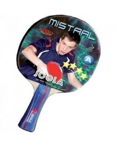 Набор для настольного тенниса Joola Mistral (54815J)