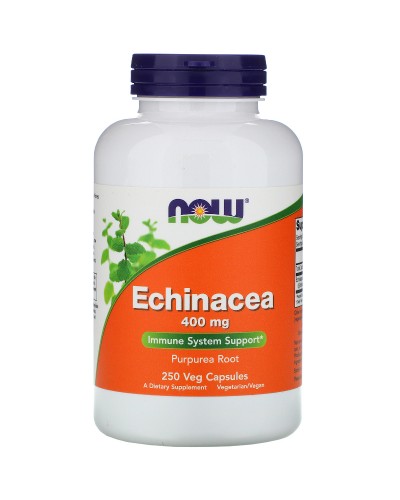 Травы NOW Foods Echinacea 400 мг - 250 веган капс (815937)
