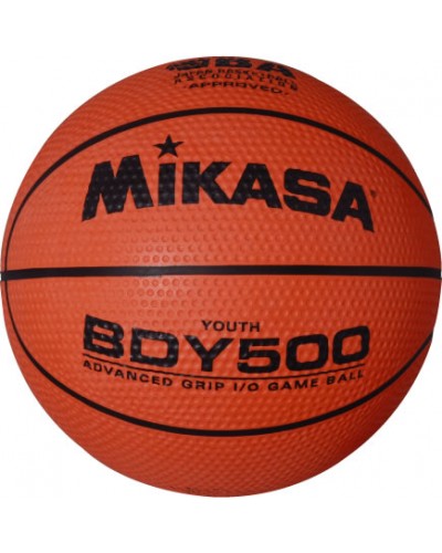 Мяч баскетбольный Mikasa BDY500