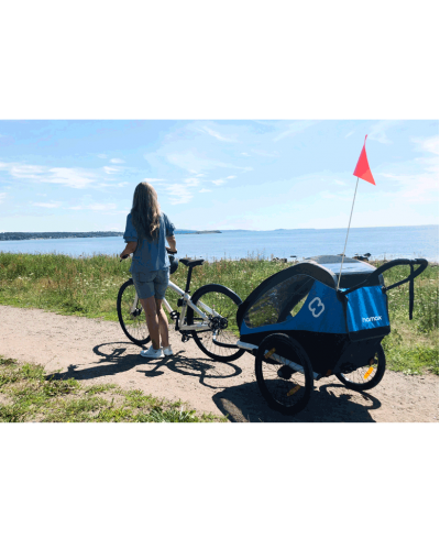 Велоприцеп Hamax Traveler двухместный многофункциональный детский Petrol Blue Grey (HAM400051)