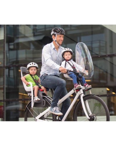 Ветровое стекло для велокресла Hamax Observer (HAM590020)