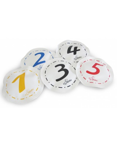 Аква-игрушка плавающая Golfinho Floating circles with numbers  (J233)