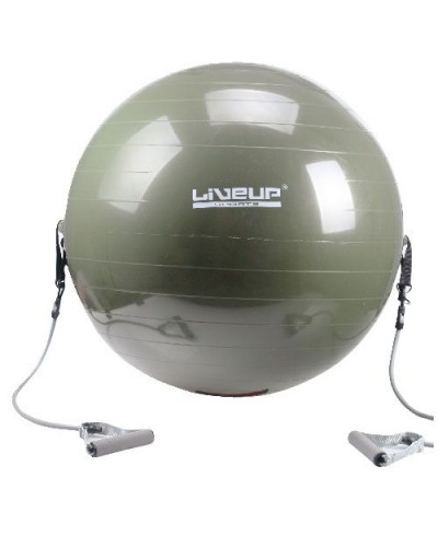 Фитбол с эспандером LiveUp Gym Ball With Expander (LS3227)