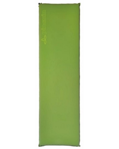 Самонадувающийся коврик Pinguin Horn 20 green 2 см (PNG HO20G)