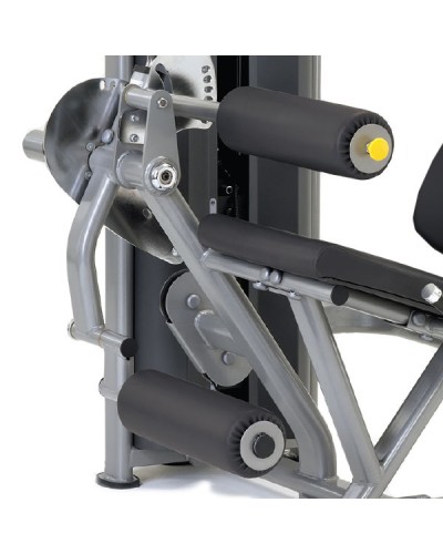 Тренажер для мышц ног (сгибание/разгибание) True & Paramount FS-50 (PSFS50-R)