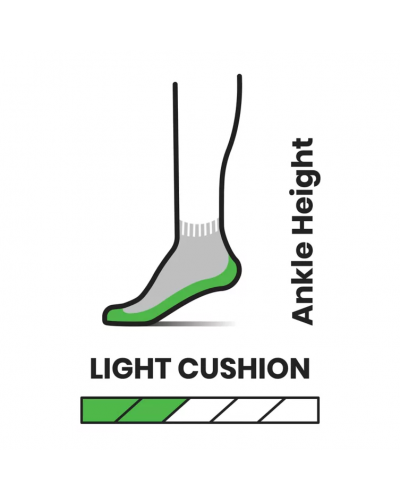 Носки Smartwool Women's Performance Hike Light Cushion Ankle Light Gray (SW SW001571.039)