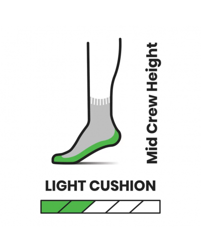Носки Smartwool Performance Hike Light Cushion Striped Mid Crew Taupe (SW SW001609.236)