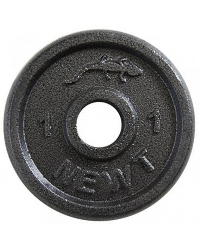 Диск стальной Newt Home 1 кг, диаметр 30 мм (TI-0011)
