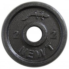 Диск стальной Newt Home 2 кг, диаметр 30 мм (TI-0015)