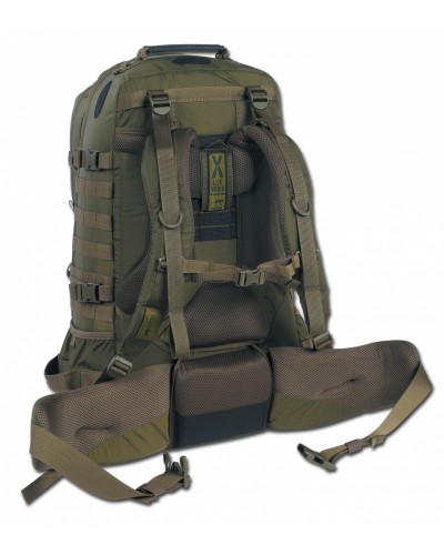 Рюкзак Tasmanian Tiger 2 in 1 Pack Olive (TT 7717.331)