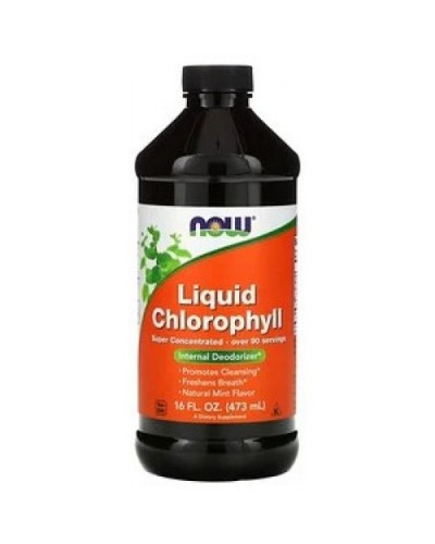 Liquid Chlorophyll & Mint - 473 мл