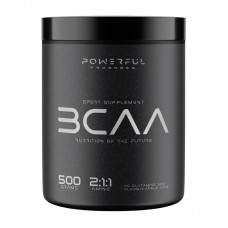 Powerful Progress BCAA 2:1:1 (500 g, mango)