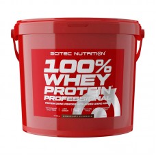 Scitec Nutrition 100% Whey Protein Professional (5 kg, strawberry)
