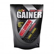 Mass Growing Gainer (1 kg, лісова ягода)