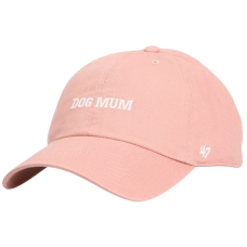 Кепка 47 Brand PHRASE BASE RUNNER ICON (BSRIC1411GWS-AK)