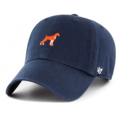 Кепка 47 Brand DOG BASE RUNNER ICON (BSRIC1411GWS-NYG)